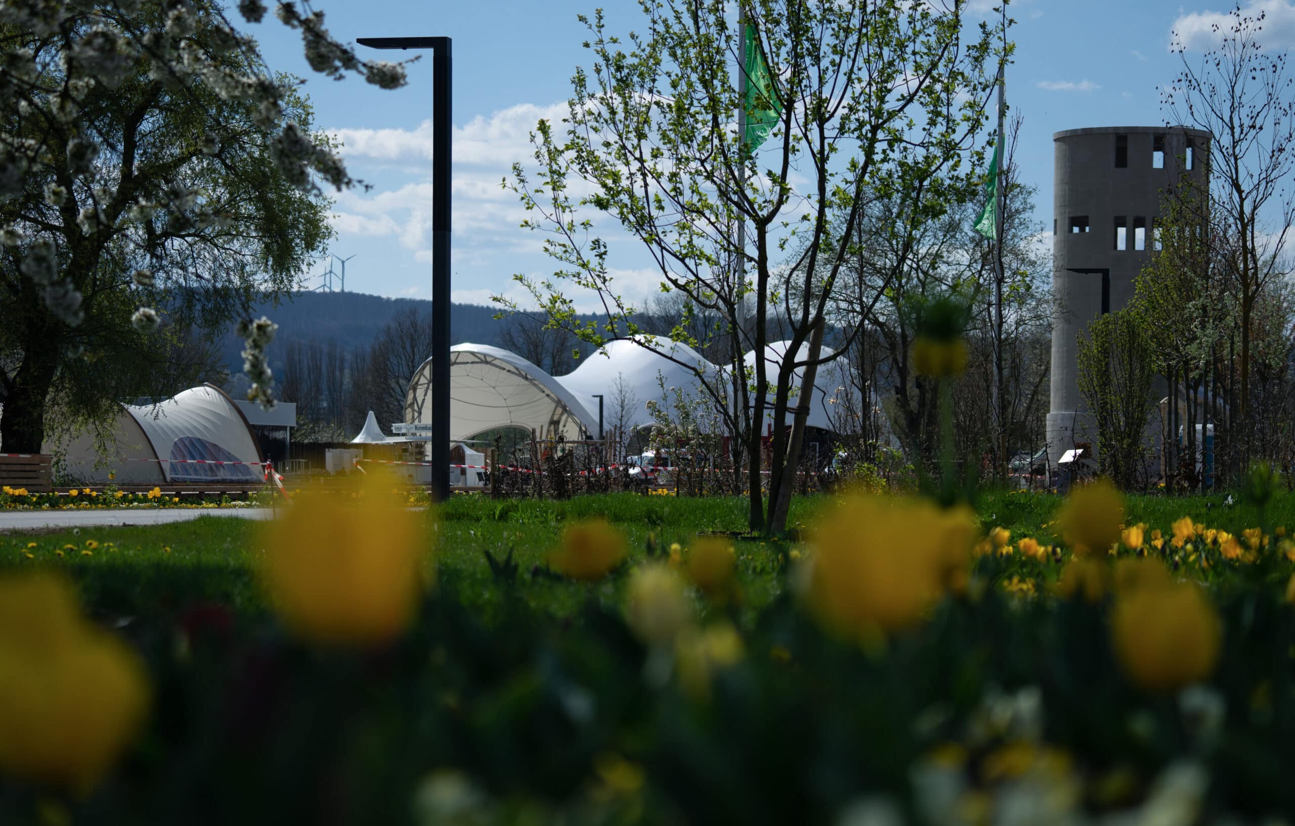 Blumenfeld mit überdachten Bühne und Turm im Hintergrund, auf der Landesgartenschau Höxter