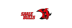Logo Testimonial Saale Bulls